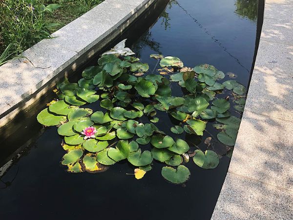 Shandong Tianlang Environmental After Garden